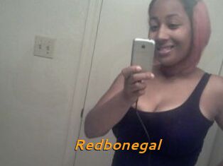 Redbonegal