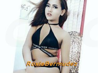 RoxieBermudez