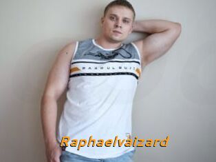 Raphaelvaizard
