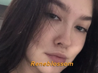 Reneblossom