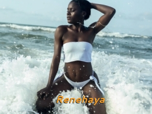 Renehaya