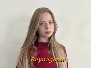 Reynagitter