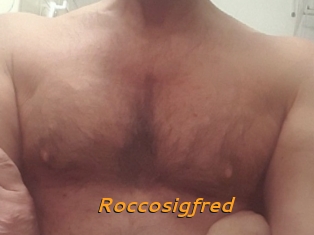 Roccosigfred