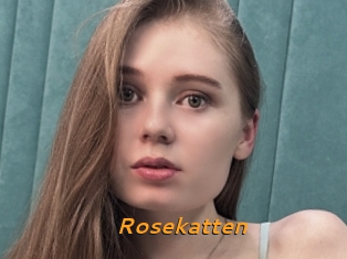 Rosekatten