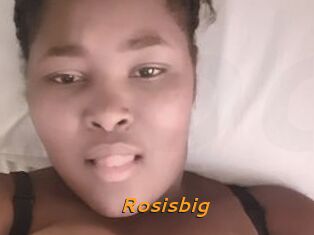 Rosisbig