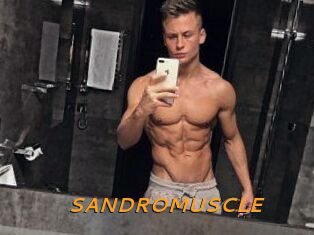 SANDRO_MUSCLE