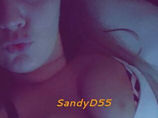 SandyD55