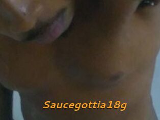 Saucegottia18g
