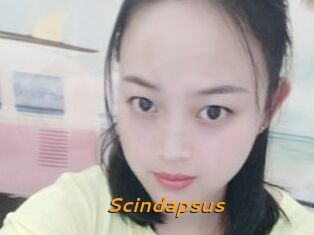Scindapsus