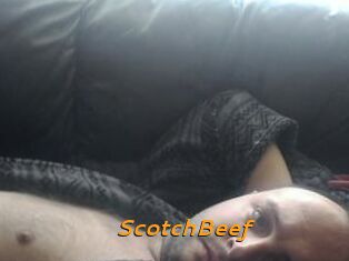 ScotchBeef