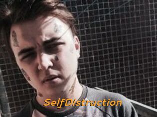 SelfDistruction