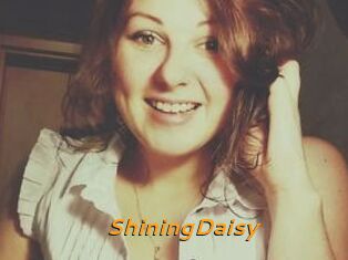 ShiningDaisy