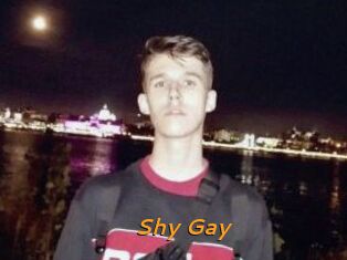Shy_Gay