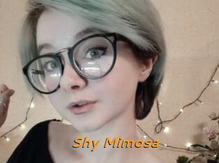 Shy_Mimosa