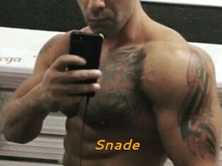 Snade
