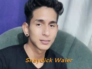 Snaydick_Waler