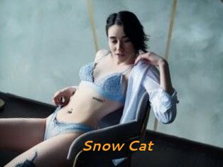 Snow_Cat