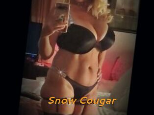 Snow_Cougar