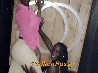 StallionPussy