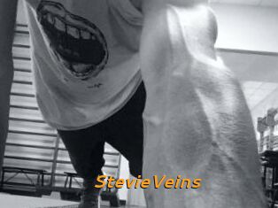 StevieVeins