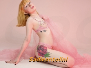 Sadieantolini