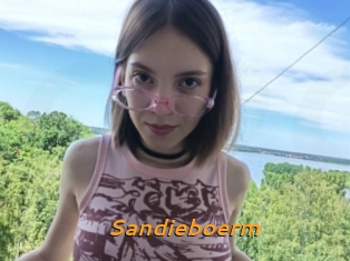 Sandieboerm