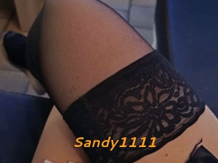 Sandy1111