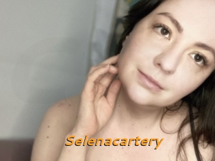 Selenacartery