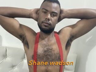 Shane_wadson