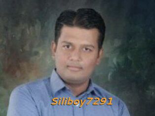 Siliboy7291