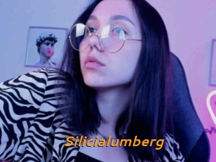 Silicialumberg