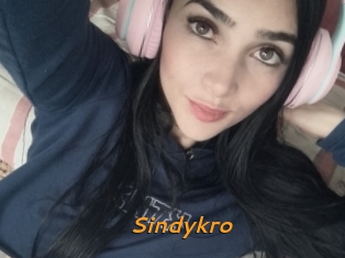 Sindykro
