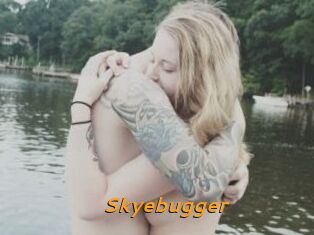 Skyebugger