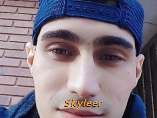 Skyleer
