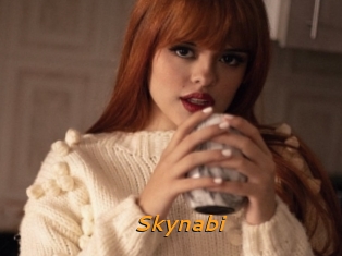 Skynabi