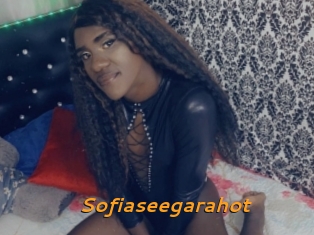 Sofiaseegarahot