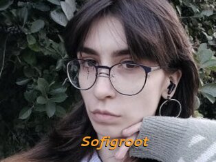 Sofigroot
