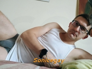 Sonicegay