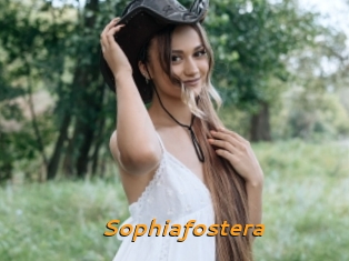 Sophiafostera