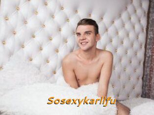 Sosexykarllfu