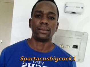 Spartacusbigcock1