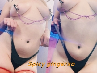 Spicy_gingerxo