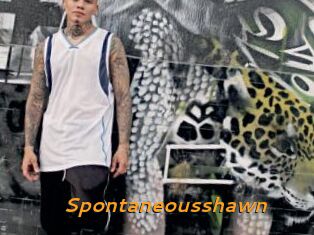 Spontaneousshawn