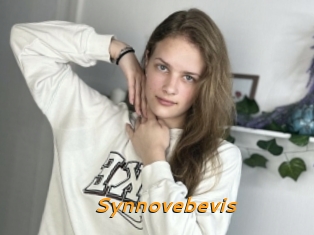 Synnovebevis