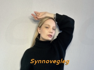 Synnovegleg