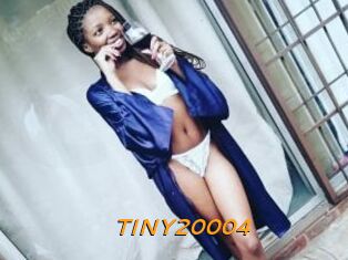 TINY20004