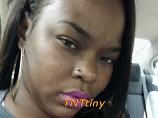 T_N_Ttiny