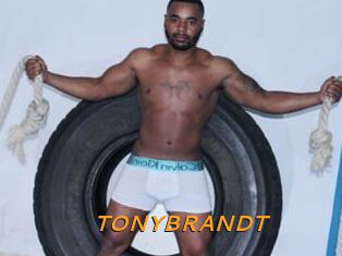TONYBRANDT