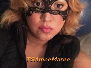 TSAmeeMaree