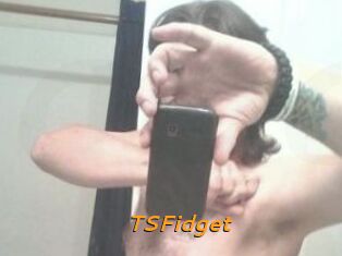 TSFidget